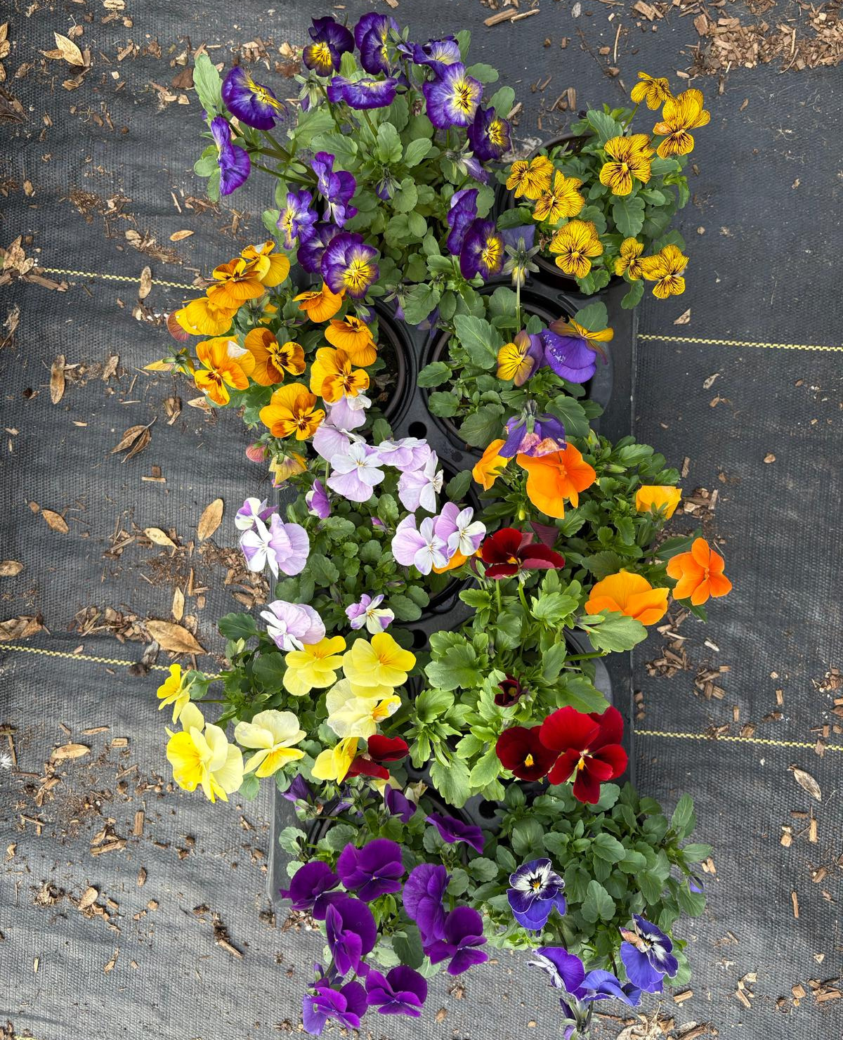 Wind turbine blades against a landscape.