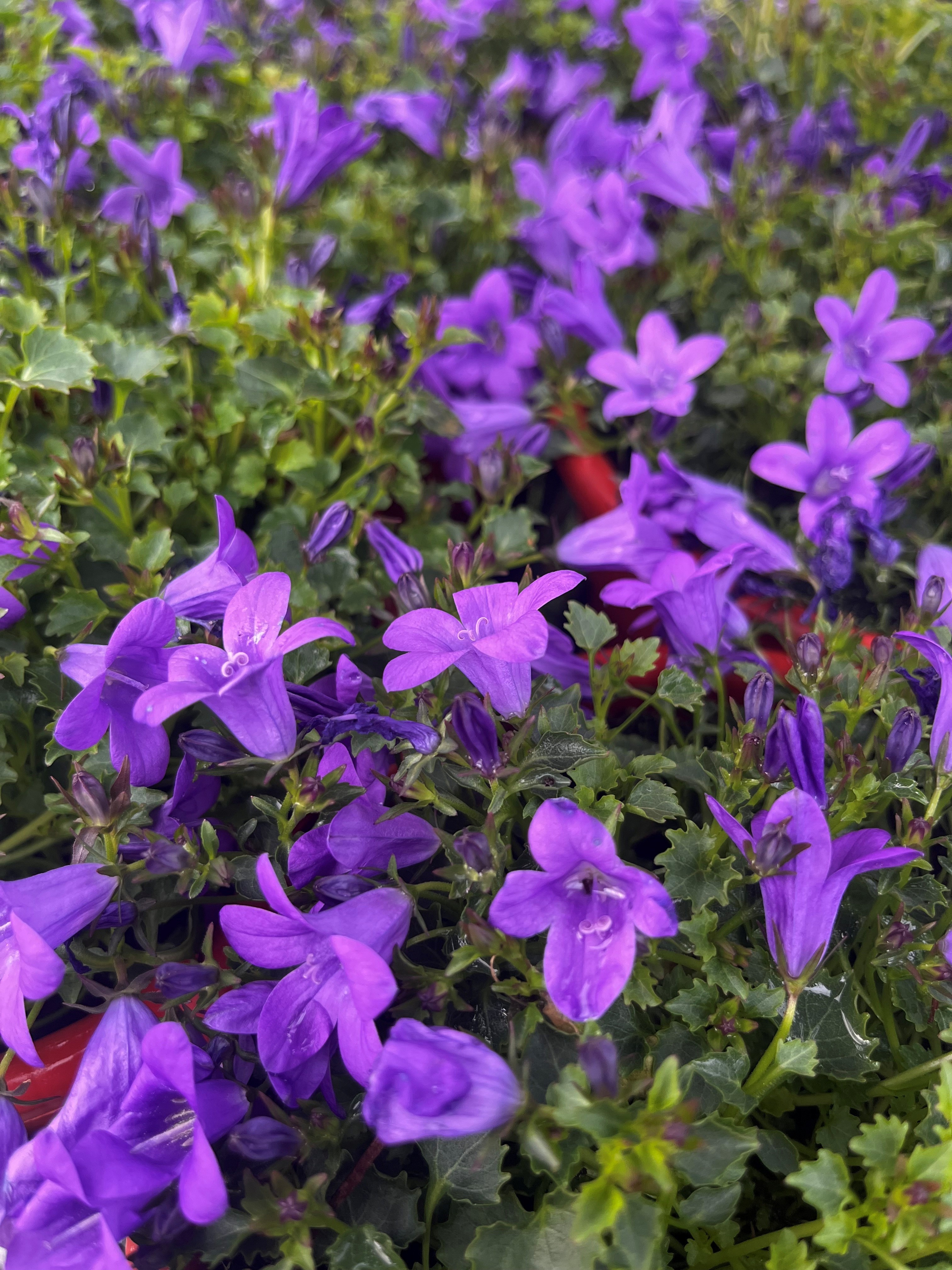 Wind turbine blades against a landscape.