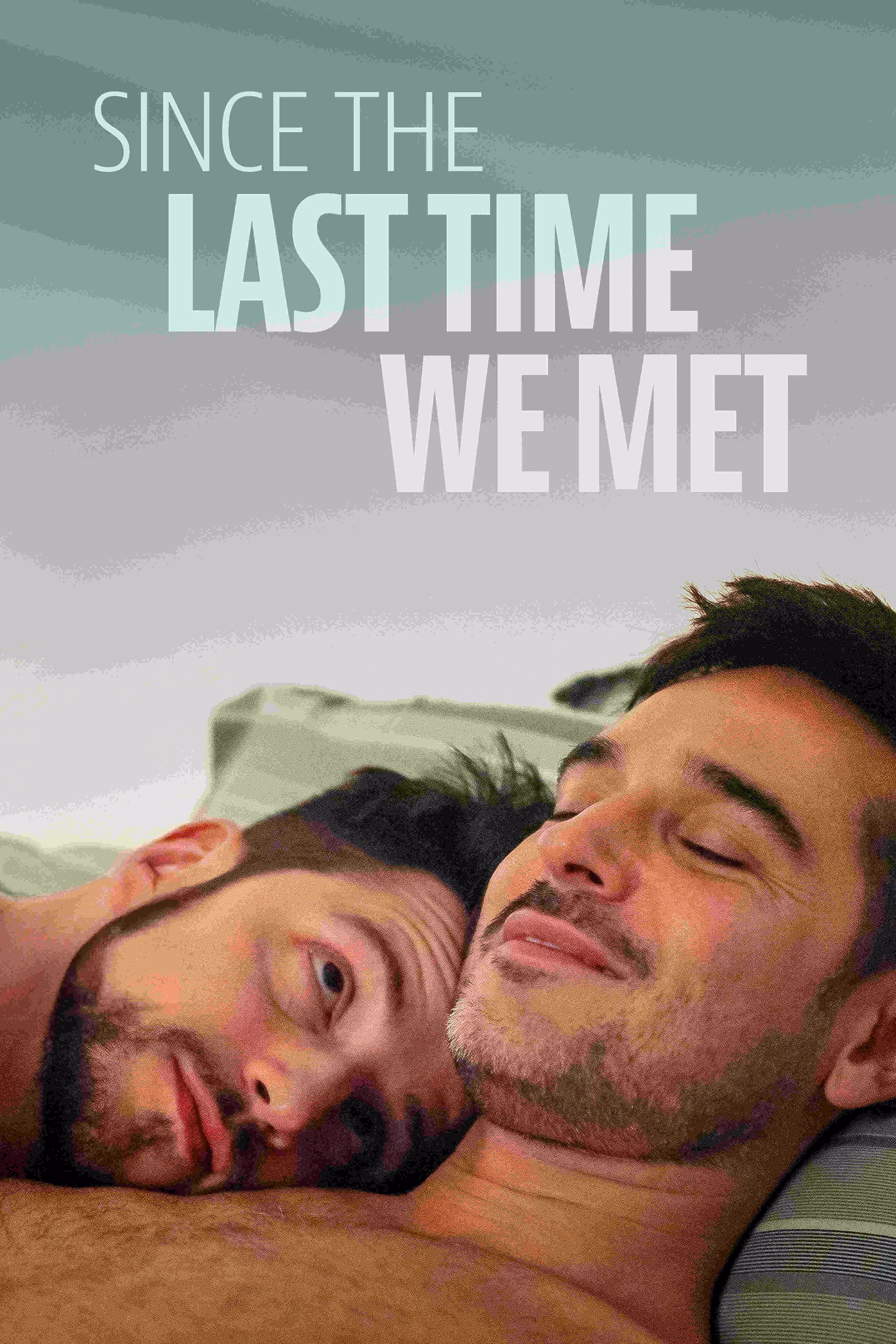 Since the Last Time We Met movie poster for the LGBTQ+ romance streaming on Dekkoo