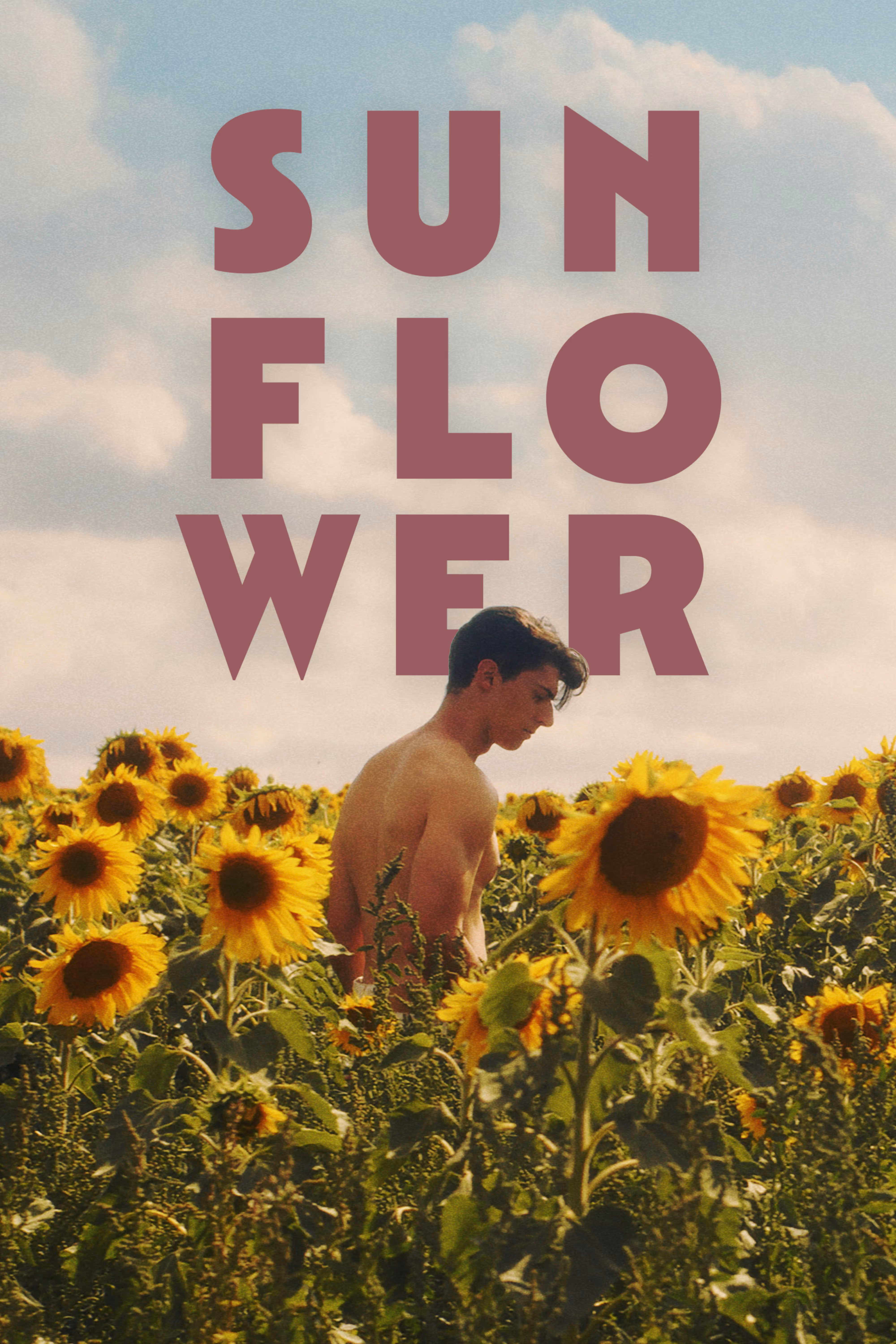 Sunflower - Gay  drama movie on Dekkoo