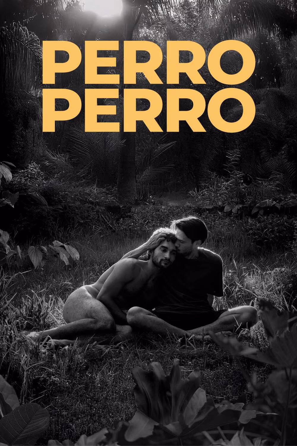 Perro Perro film poster featuring two men embracing in a lush tropical forest, presented in black and white with bold yellow title text.