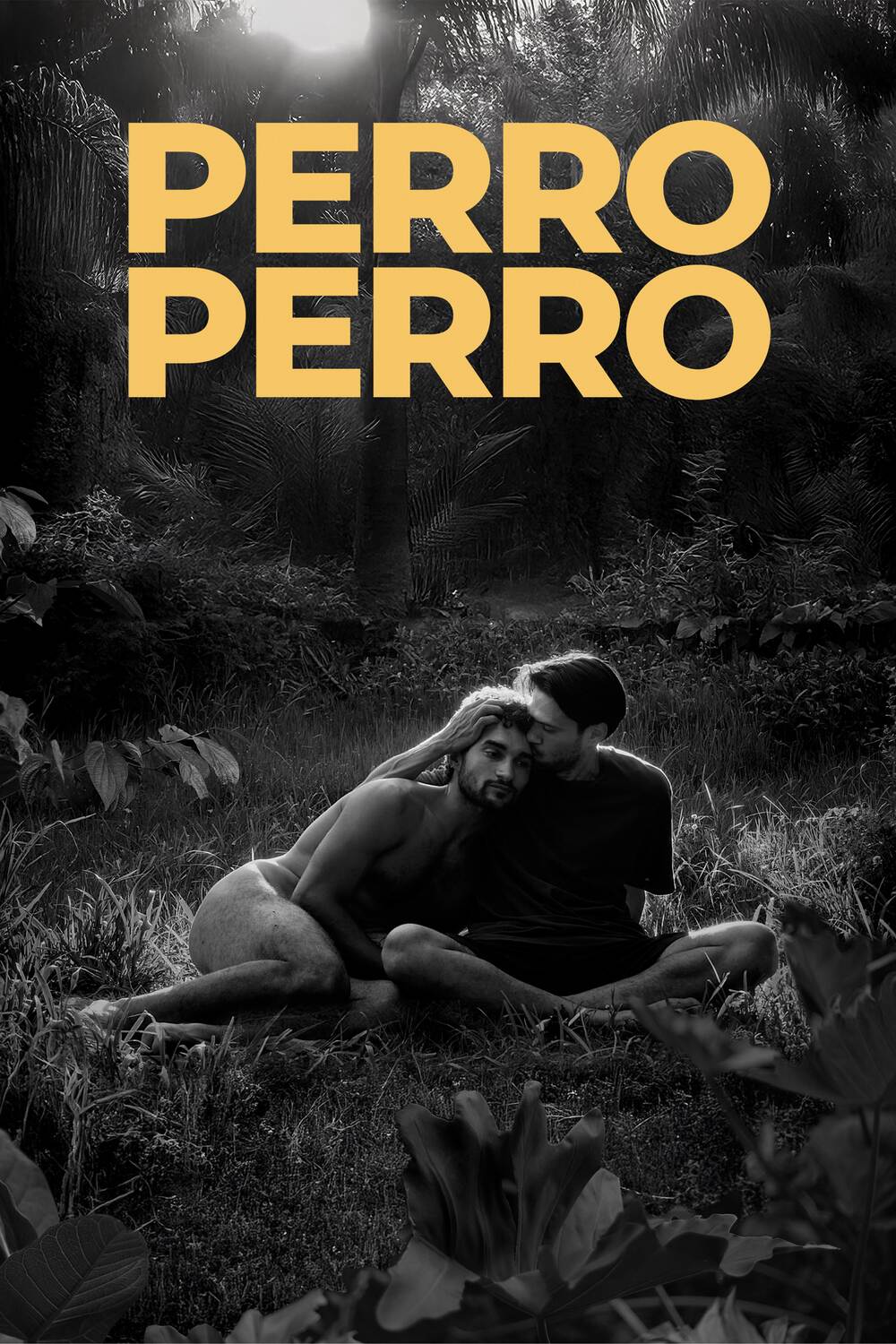 Perro Perro film poster featuring two men embracing in a lush tropical forest, presented in black and white with bold yellow title text.