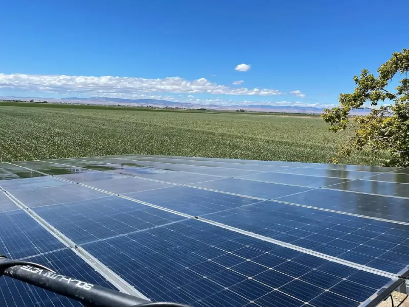 solar panel cleaning companies