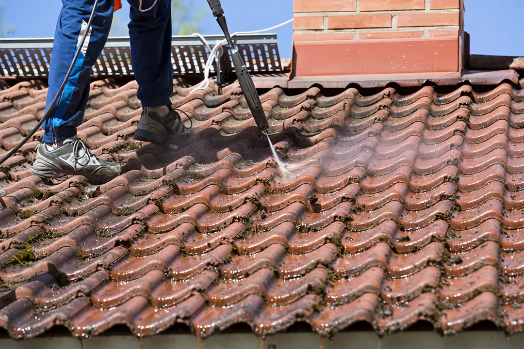 professional roof cleaning services