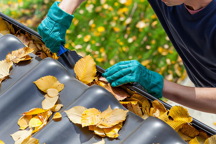 gutter cleaning services