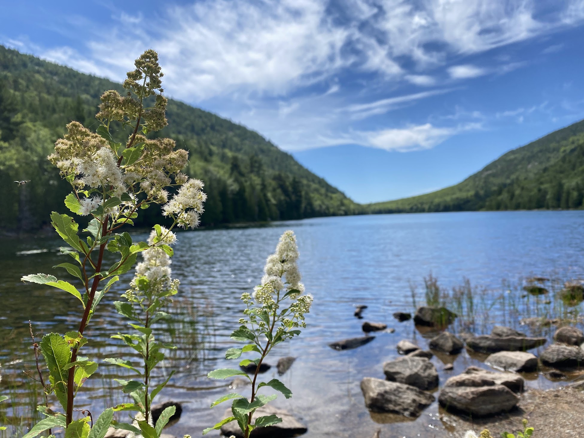 Bubble Pond Acadia NP