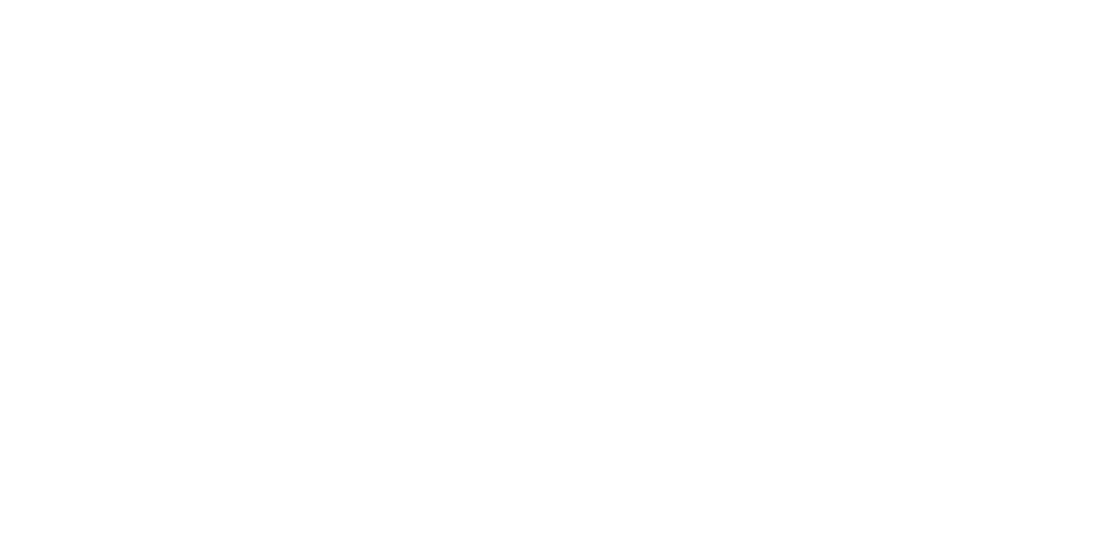 DAN/DAN Fractional Agency Logo