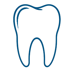 Simplified blue outline illustration of a molar tooth.