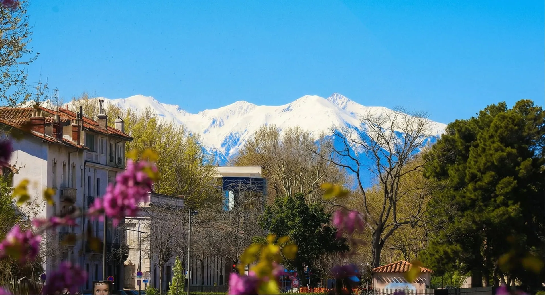 Maisons et arbres au premier plan avec des montagnes enneigées et un ciel bleu clair en arrière-plan.