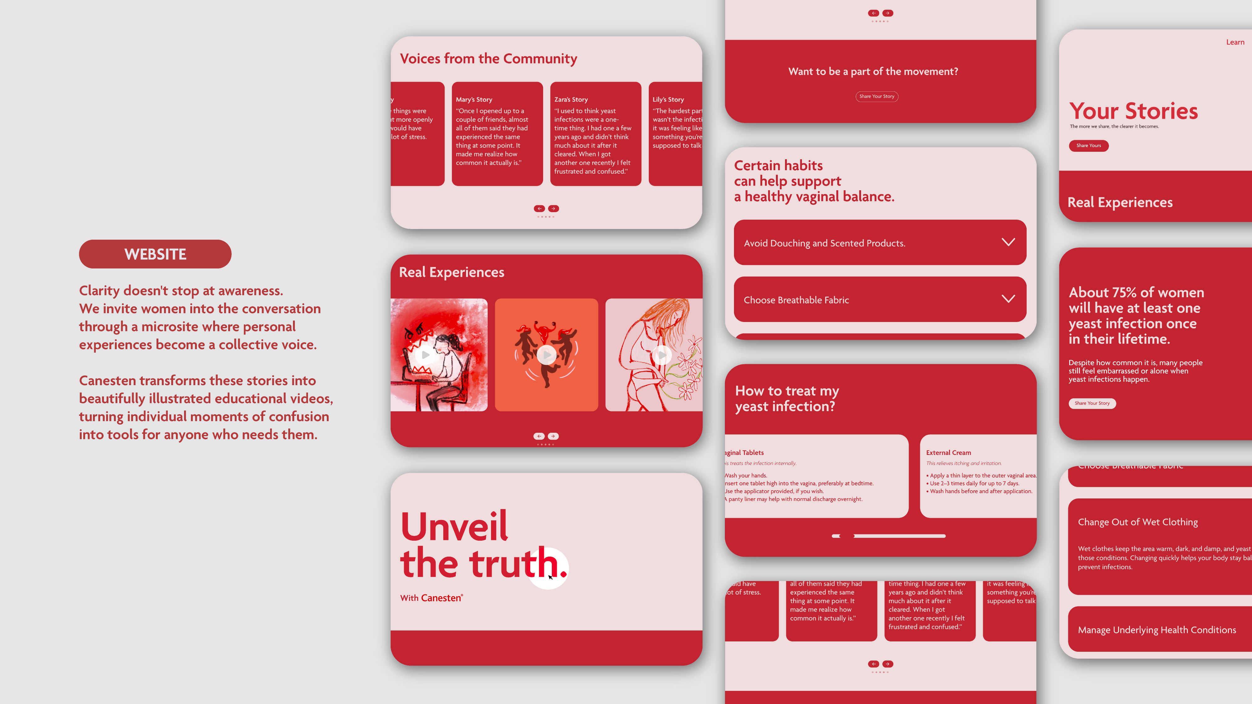 Visual explanation of the insight and idea.