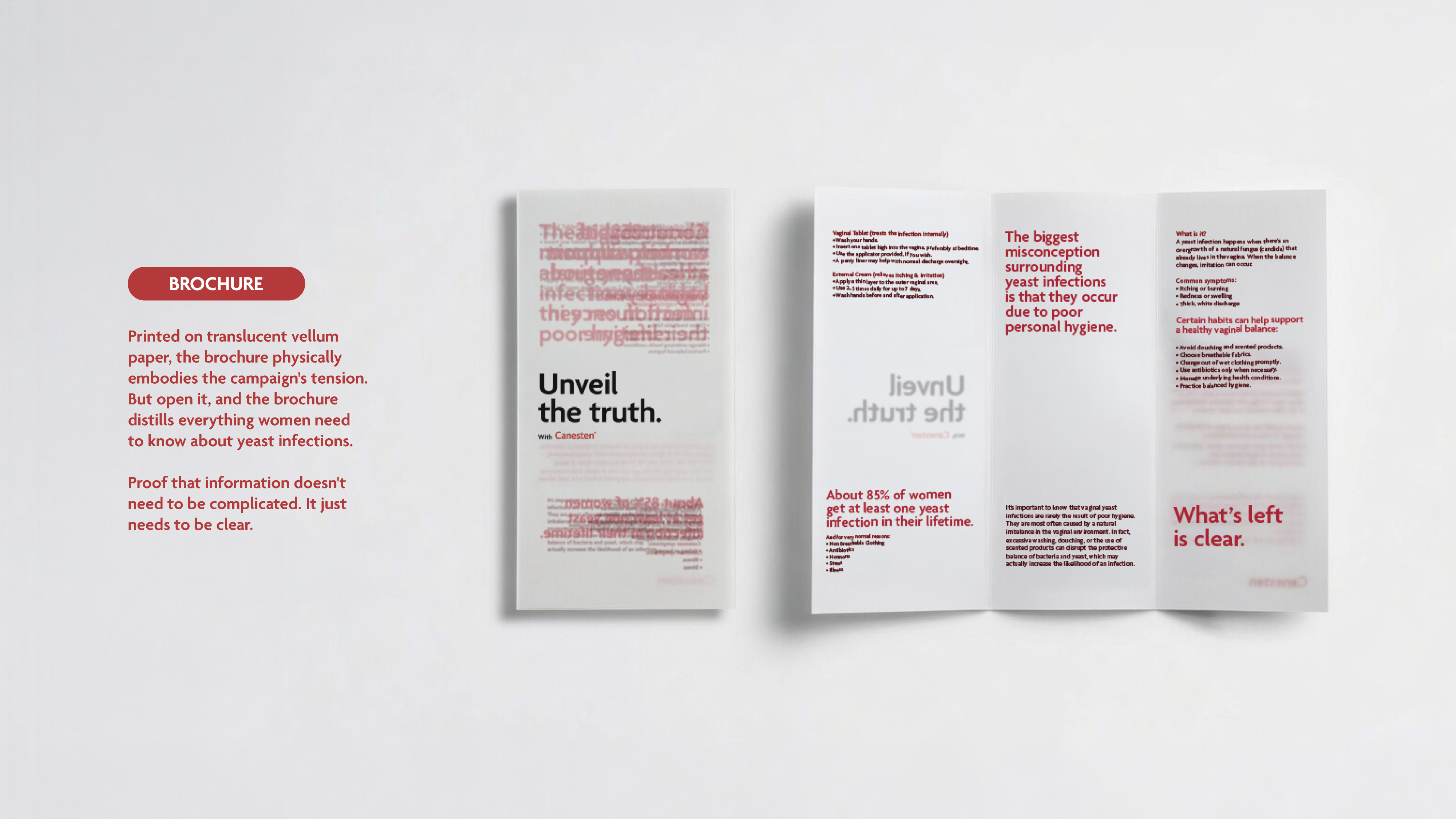 Visual explanation of the insight and idea.