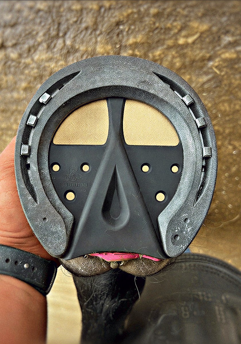 Underside of a hoof with a steel shoe and black 3D-printed pad with tan heel sections