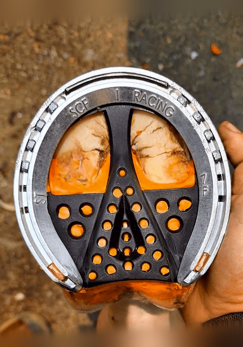 Hoof held in hand showing an aluminum racing shoe with a black and orange 3D-printed insert