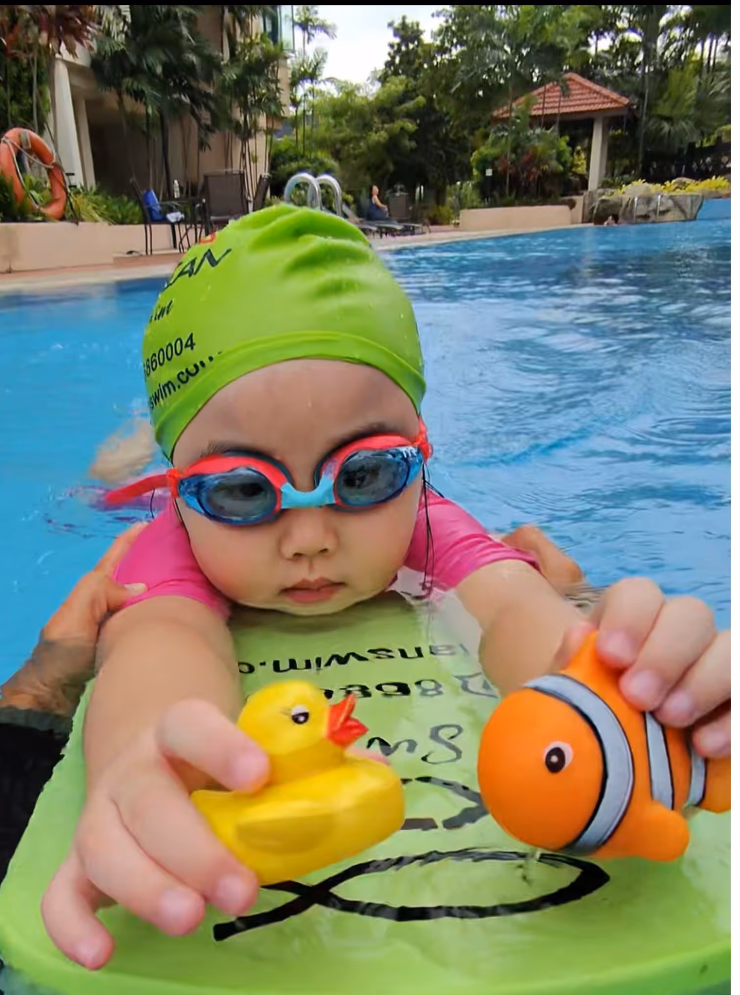 Premium baby and child swimming education at