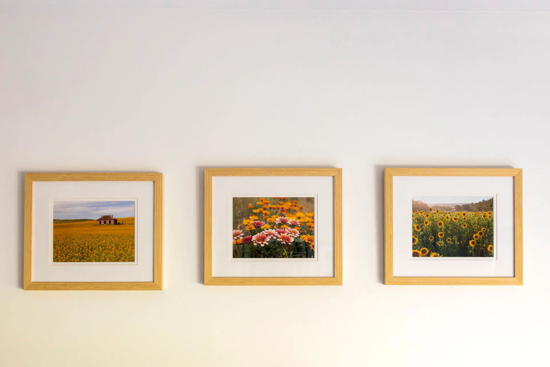 Three framed photos of flowers and nature on a white wall: a field with yellow flowers and a house, a close-up of pink and orange flowers, and a field of sunflowers.