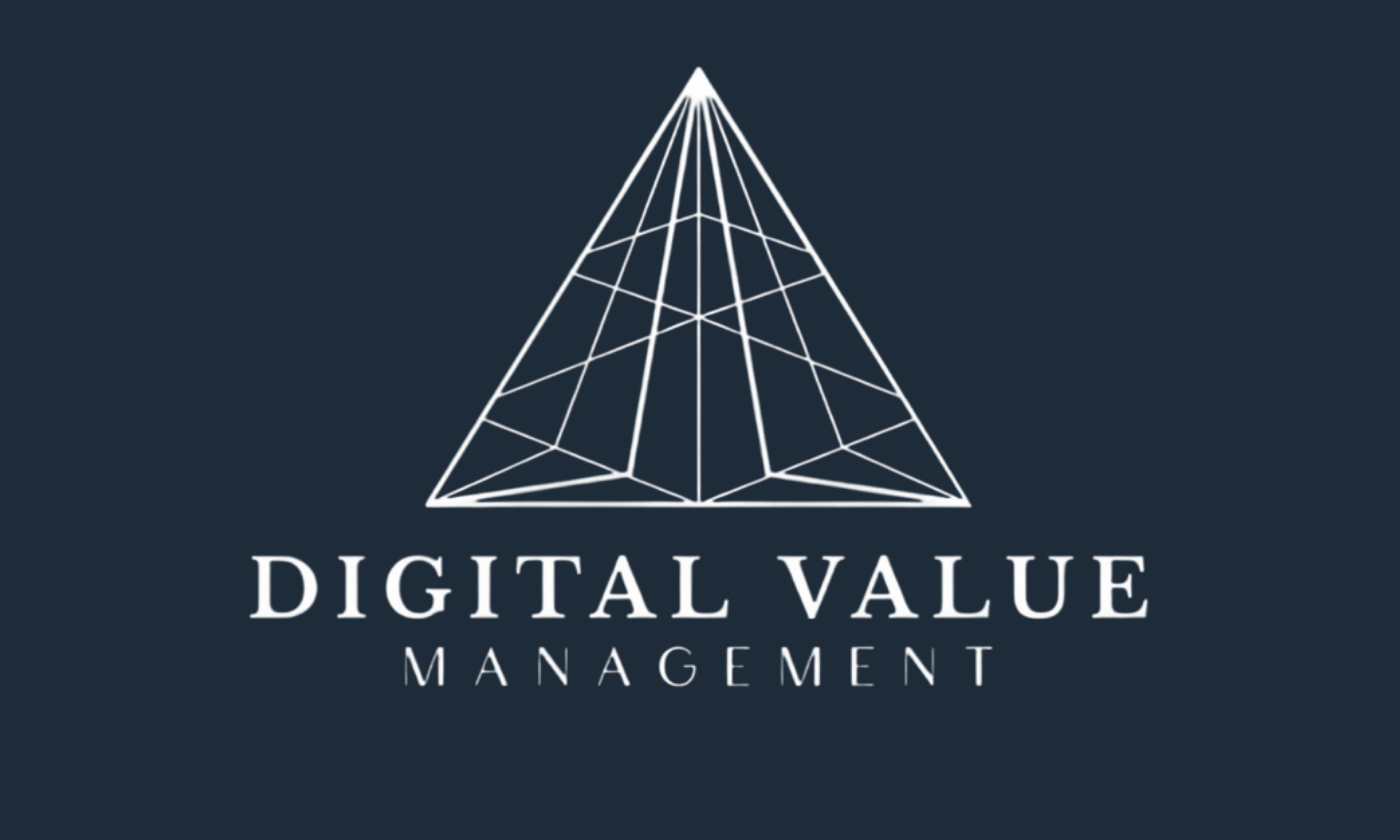 Digital Value Management logo