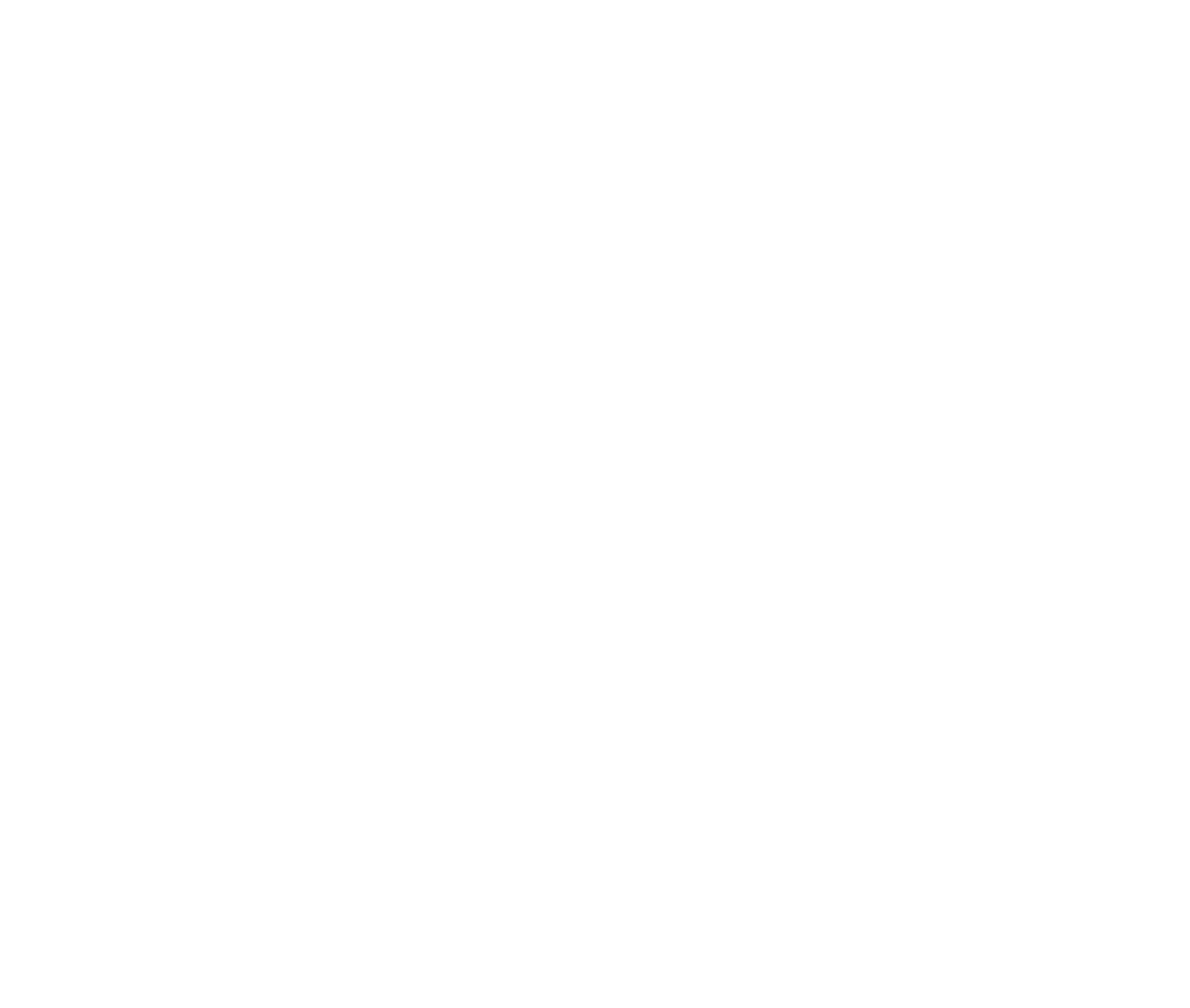 Digital Value Management logo