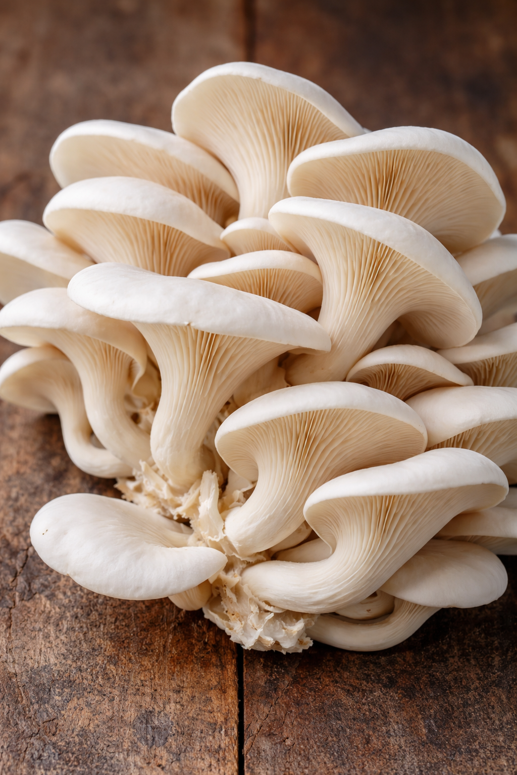 image of fresh produce on a farmer's market table