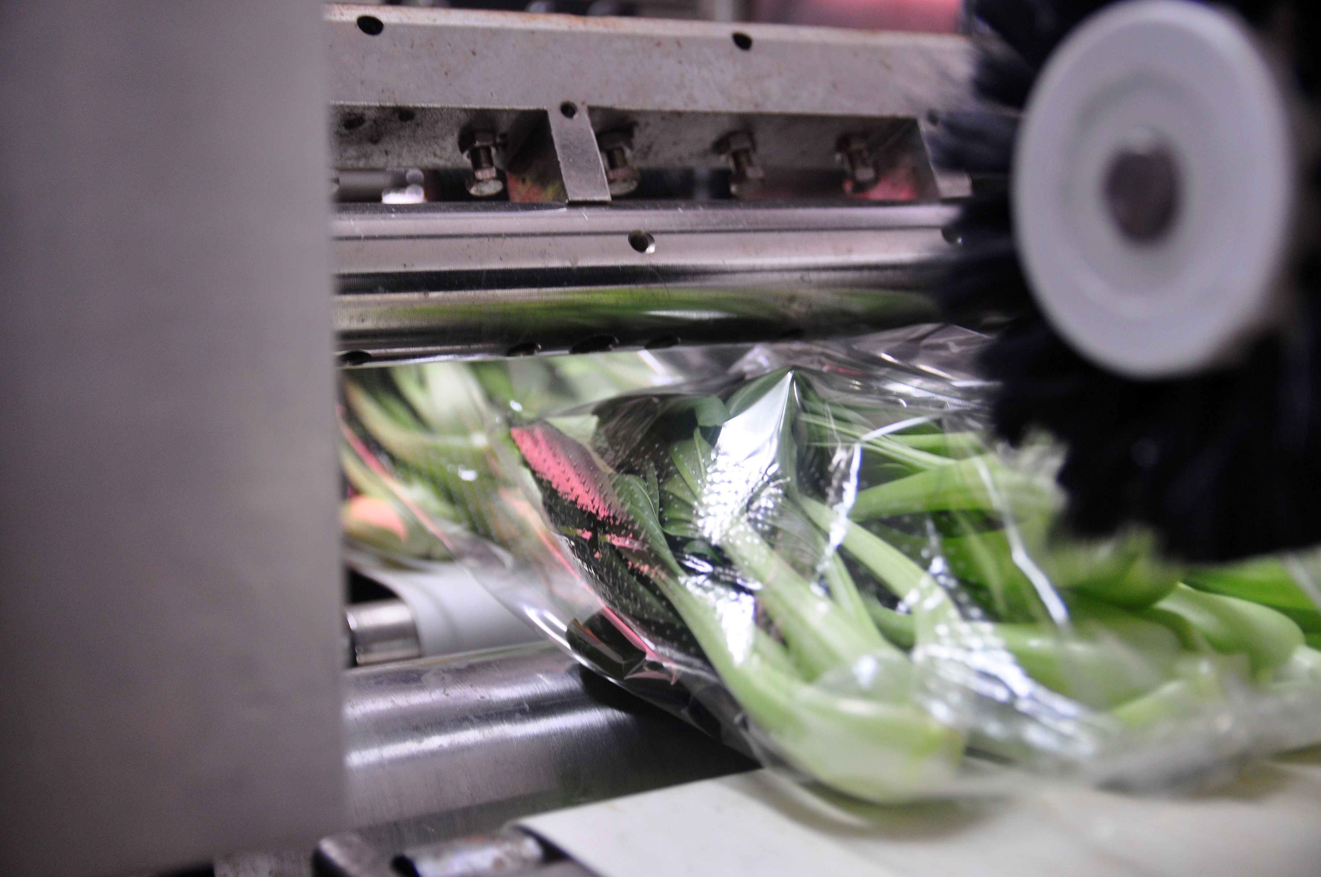 image of a distillery hosting a community event outdoors