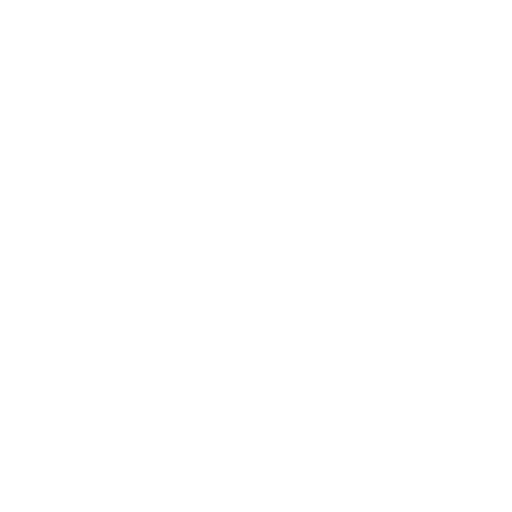 Google or AI Search