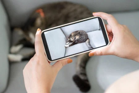 A woman taking a photo of a cat laying down on a sofa with their smart phone.