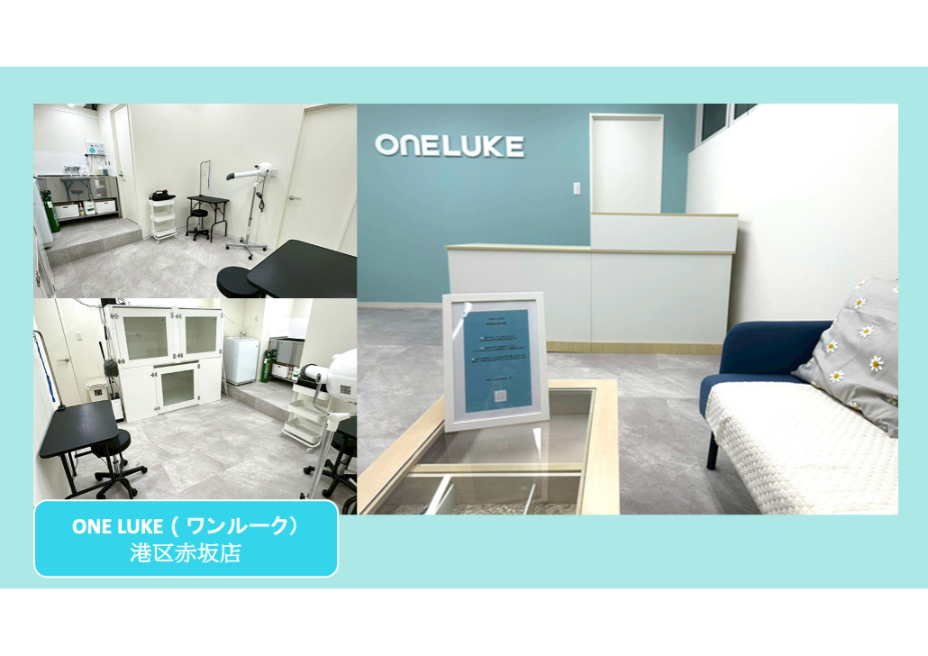 日本 做生意 開舖 創業 加盟 移居 移民 投資 經營管理簽證 永住權 講座 展銷會 開公司 株式会社 BUD 專項基金 政府資助 共享辦公室 share office 不動產 日本樓 收租 學日文 日語學院 日本教育制度 拉麵加盟 高度人材計分 高度專門職 高度人才 高度人才簽證 高度人材簽證