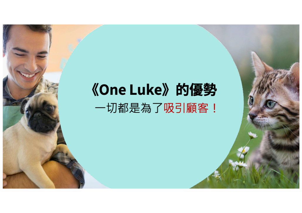 日本 做生意 開舖 創業 加盟 移居 移民 投資 經營管理簽證 永住權 講座 展銷會 開公司 株式会社 BUD 專項基金 政府資助 共享辦公室 share office 不動產 日本樓 收租 學日文 日語學院 日本教育制度 拉麵加盟 高度人材計分 高度專門職 高度人才 高度人才簽證 高度人材簽證