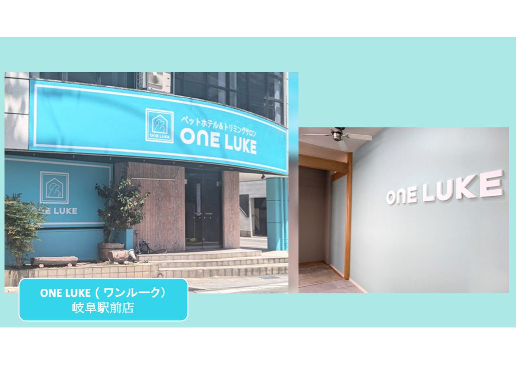 日本 做生意 開舖 創業 加盟 移居 移民 投資 經營管理簽證 永住權 講座 展銷會 開公司 株式会社 BUD 專項基金 政府資助 共享辦公室 share office 不動產 日本樓 收租 學日文 日語學院 日本教育制度 拉麵加盟 高度人材計分 高度專門職 高度人才 高度人才簽證 高度人材簽證