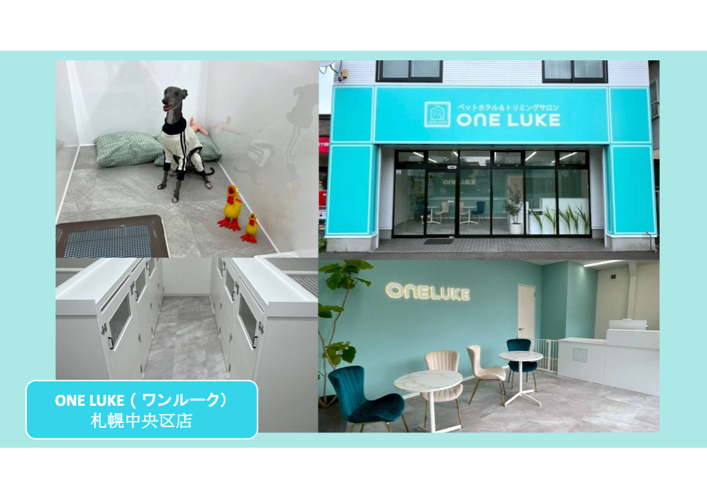 日本 做生意 開舖 創業 加盟 移居 移民 投資 經營管理簽證 永住權 講座 展銷會 開公司 株式会社 BUD 專項基金 政府資助 共享辦公室 share office 不動產 日本樓 收租 學日文 日語學院 日本教育制度 拉麵加盟 高度人材計分 高度專門職 高度人才 高度人才簽證 高度人材簽證