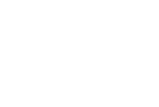 BRUNSWICK