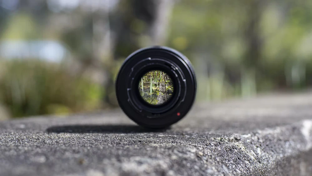 An image of black DSLR camera lens on concrete surface focusing on green plants in the distance.
