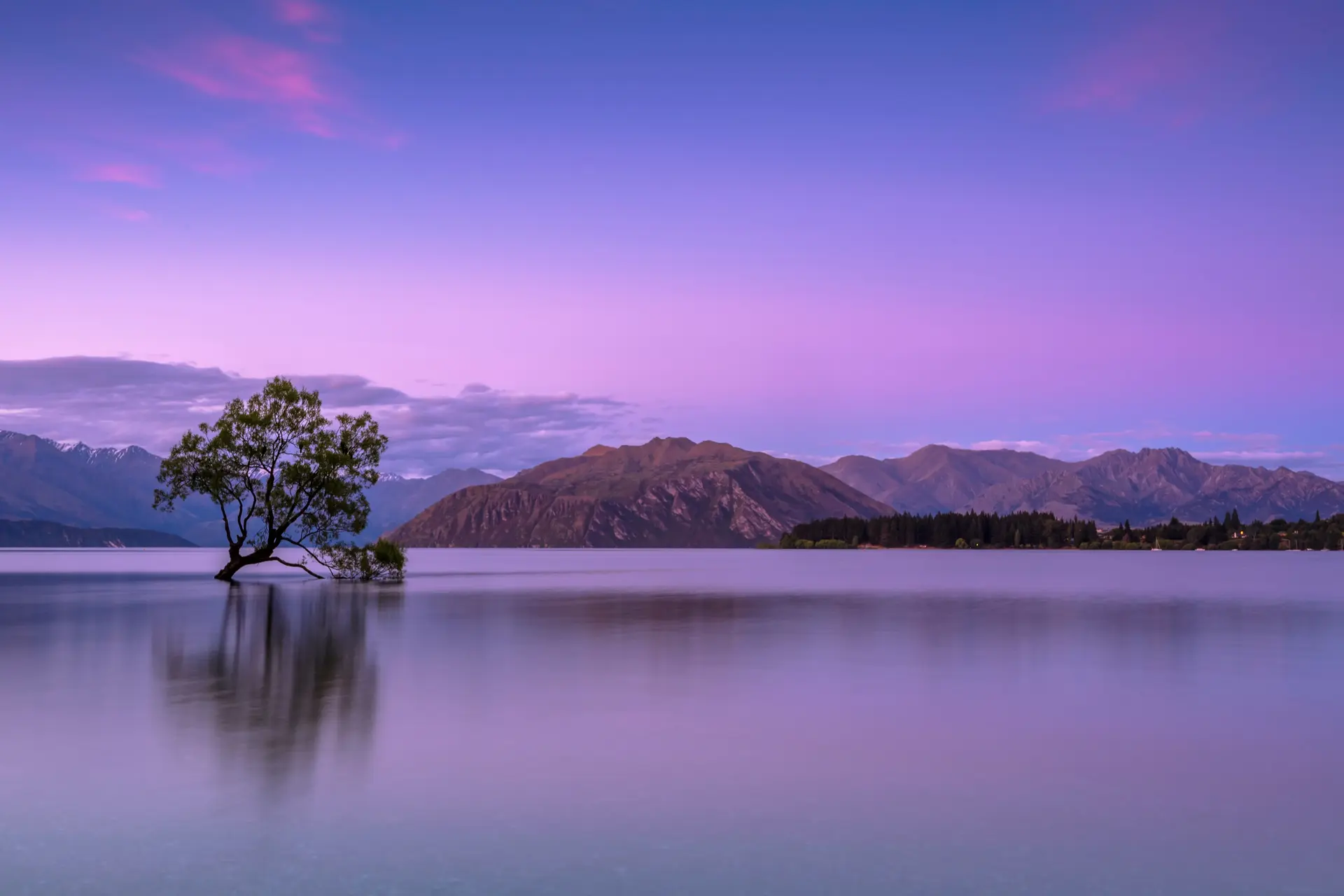 Paisaje crepuscular con un árbol en medio de un campo inundado.