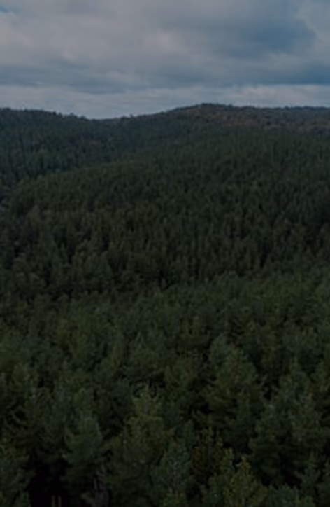 Forestry