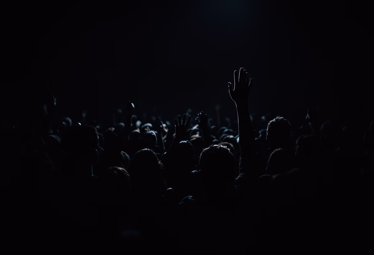 image of concert crowd