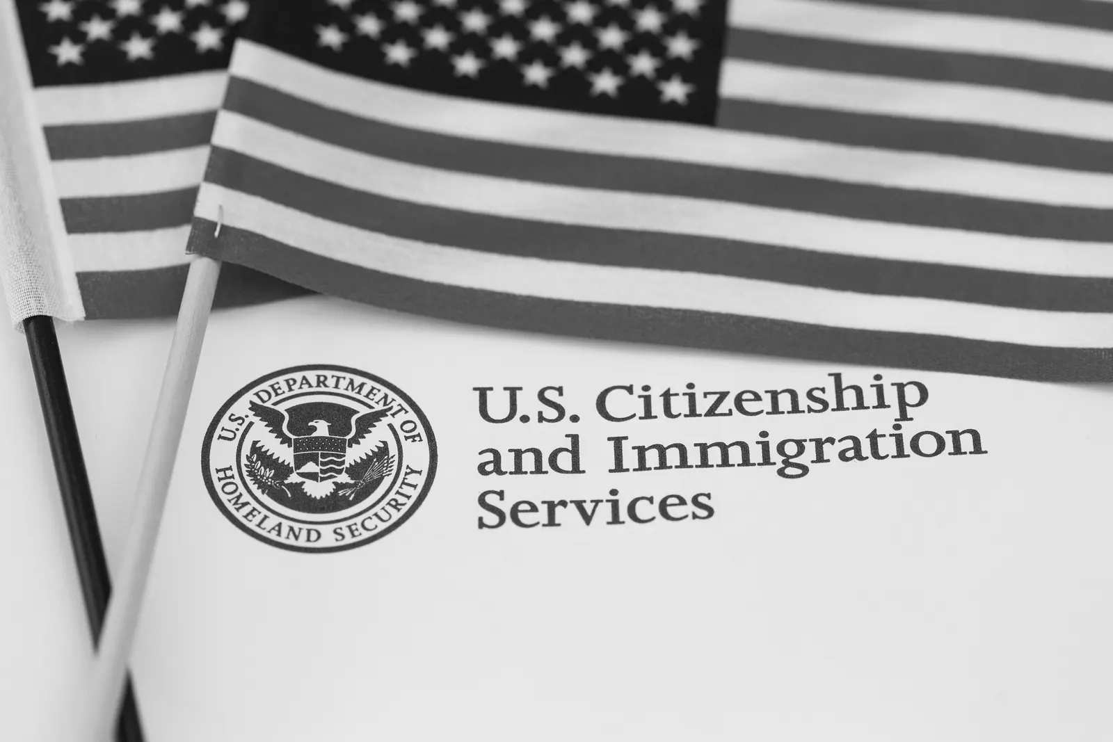 U.S. Citizenship and Immigration Services document with the DHS seal beside an American flag