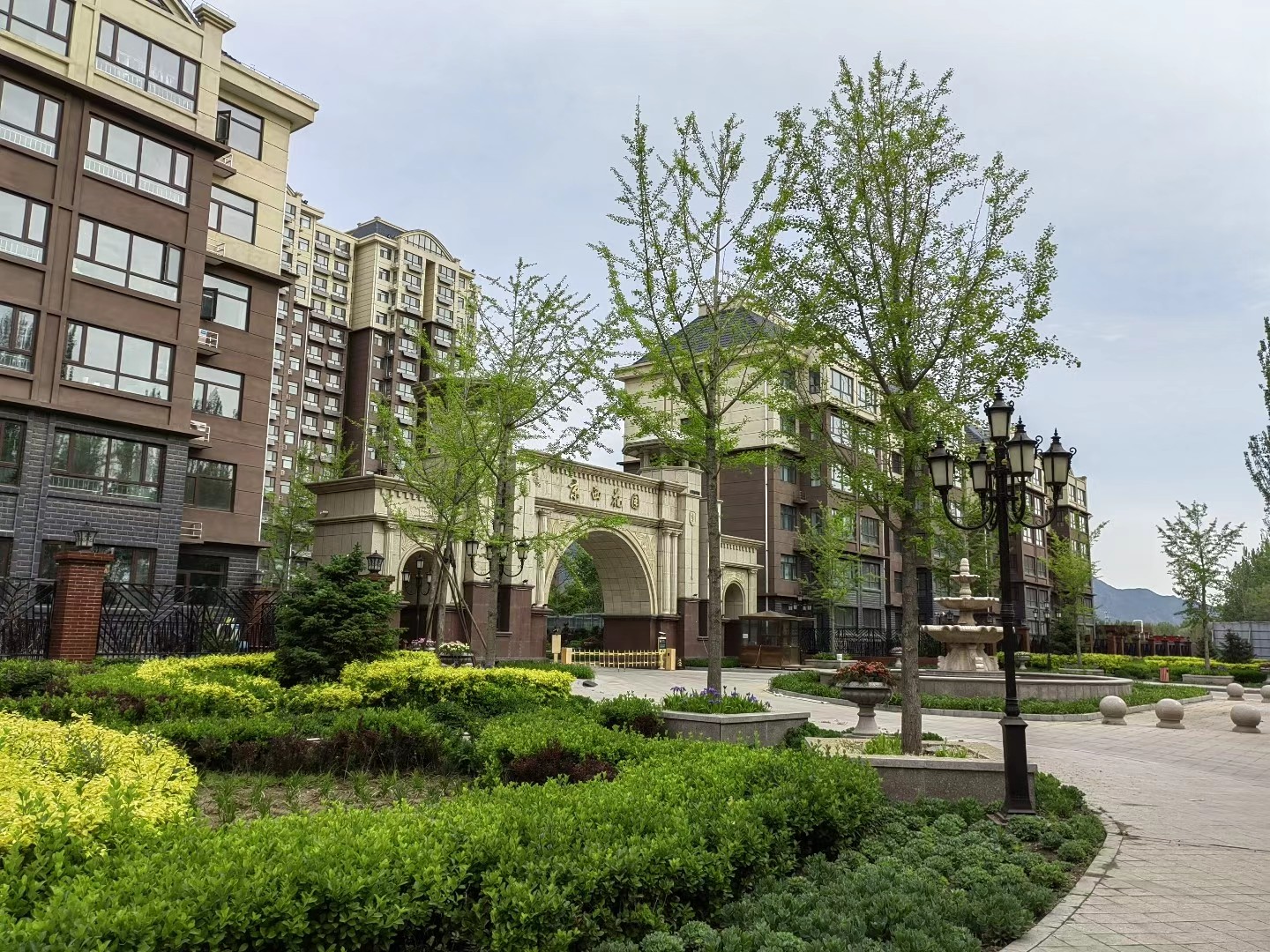 [moving team at work]