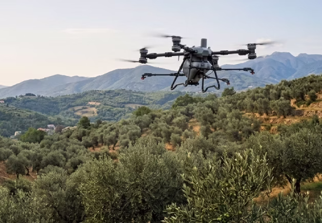 Droni agricoli negli oliveti liguri: 1 ettaro trattato in circa 15 minuti