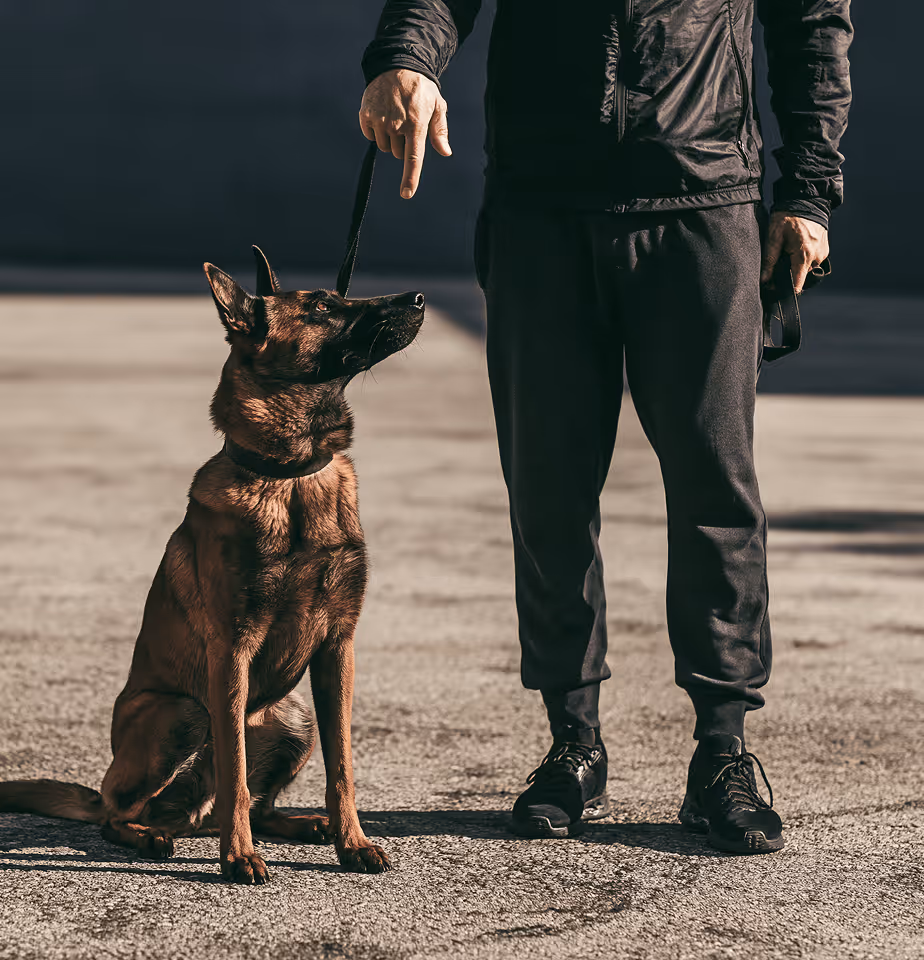 PACKTRACK for K9 trainers