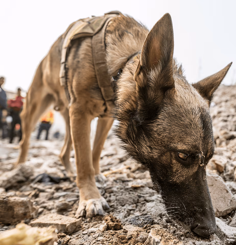 PACKTRACK for search & rescue (SAR) teams
