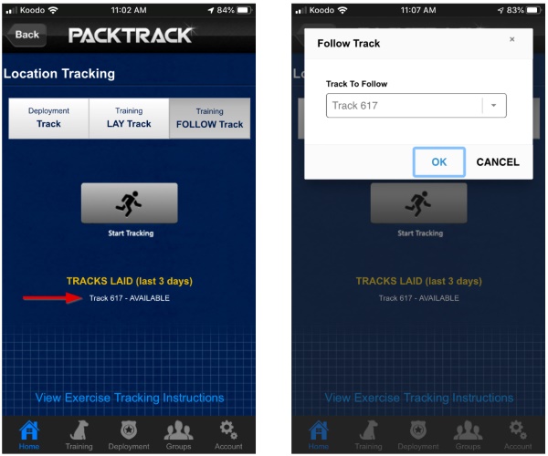 Automatically create an event and exercise when tracking