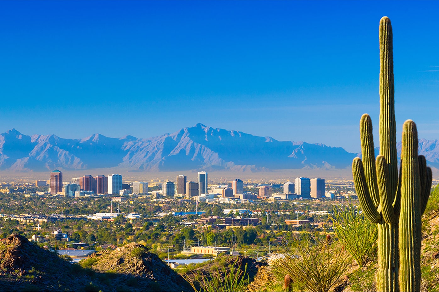 Scenic view of Phoenix skyline with desert mountains and cactus in the foreground