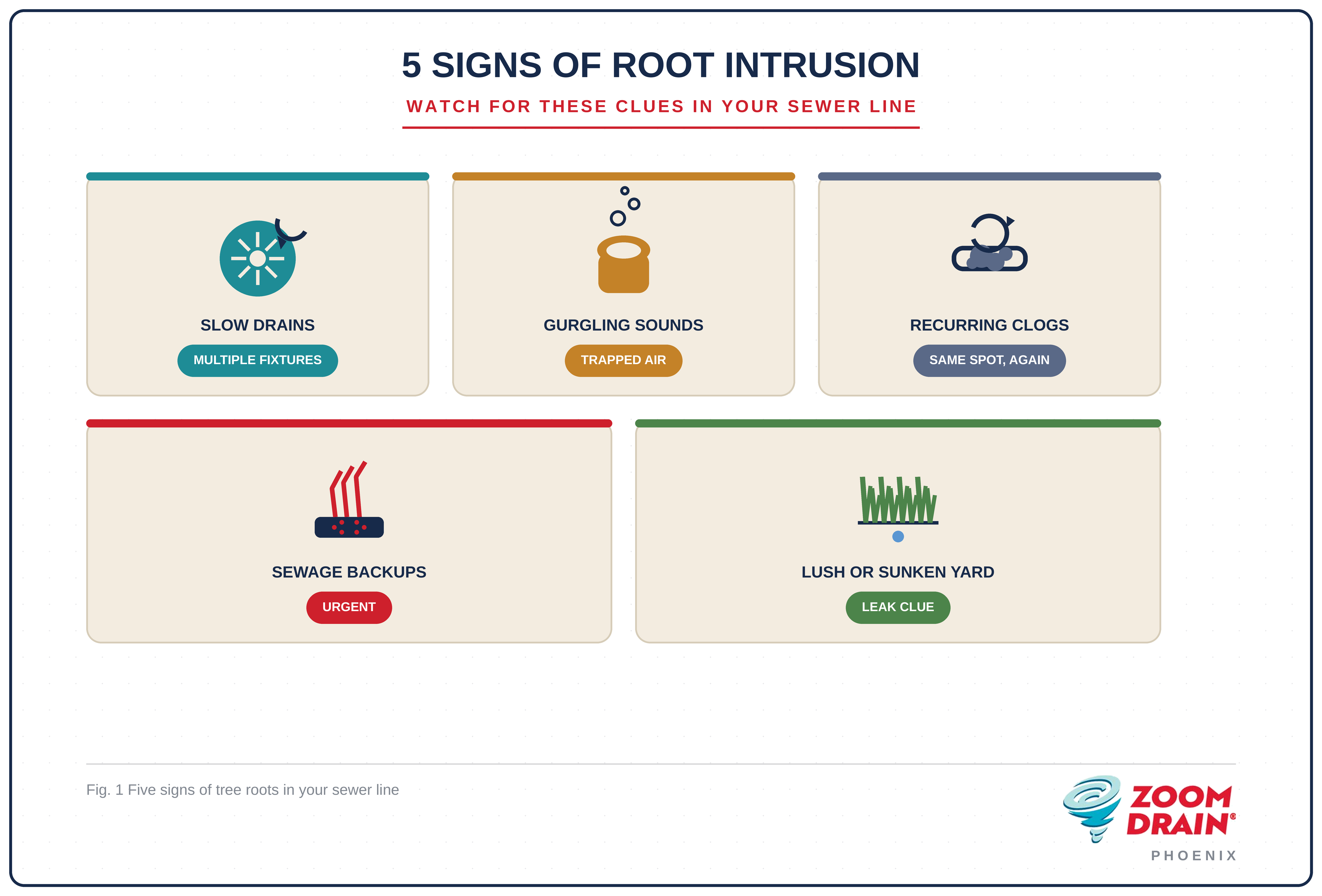 5 Signs of Root Intrusion - Tree Roots in Your Sewer Line