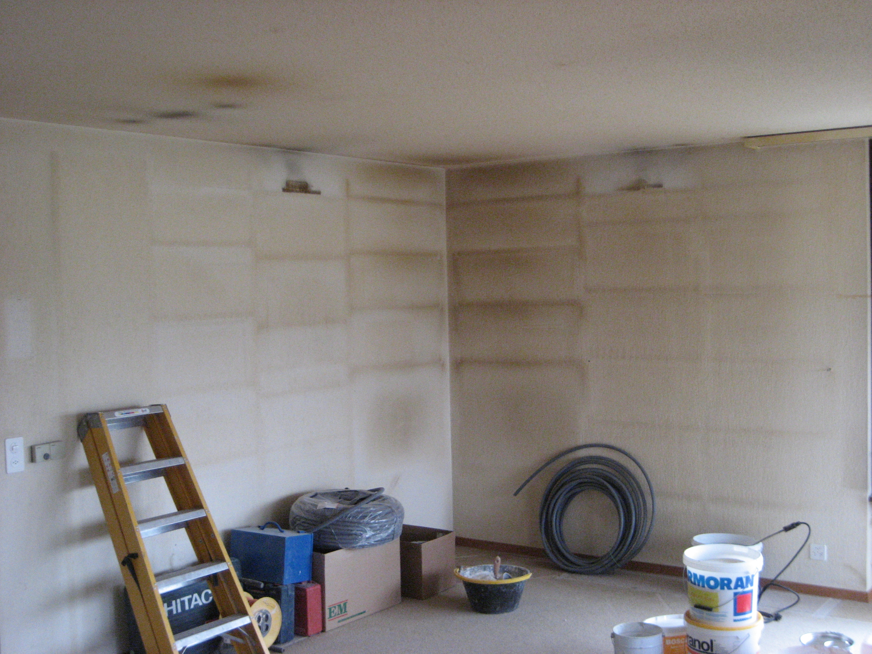 Eine grafische Fototapete mit Pflanzen, Vogel und Blumen. Davor ein grünes Sofa.