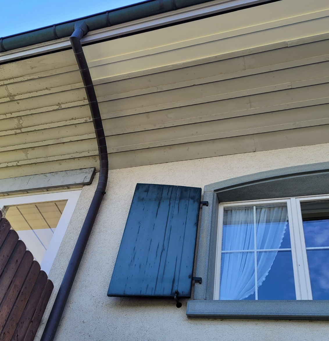 Eine grafische Fototapete mit Pflanzen, Vogel und Blumen. Davor ein grünes Sofa.