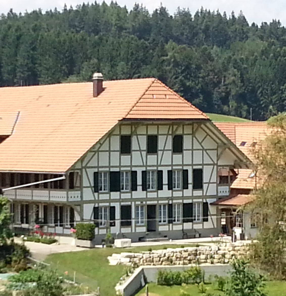 Eine grafische Fototapete mit Pflanzen, Vogel und Blumen. Davor ein grünes Sofa.