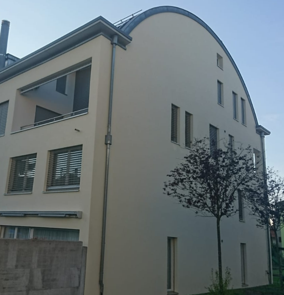 Eine grafische Fototapete mit Pflanzen, Vogel und Blumen. Davor ein grünes Sofa.