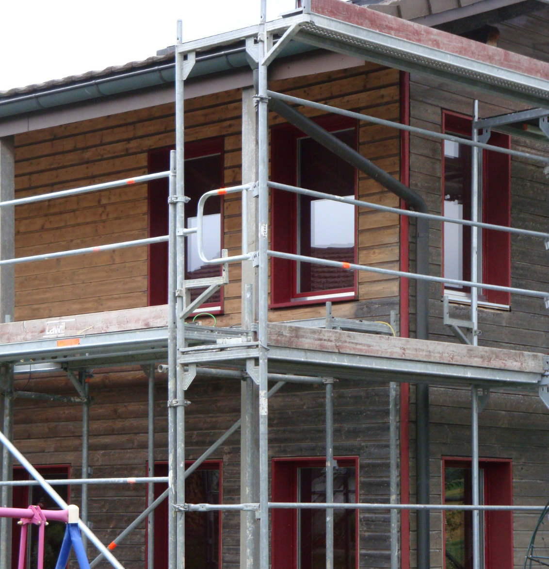 Eine grafische Fototapete mit Pflanzen, Vogel und Blumen. Davor ein grünes Sofa.