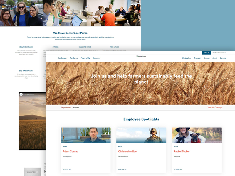 image of a creative workspace (for a social media and communication)