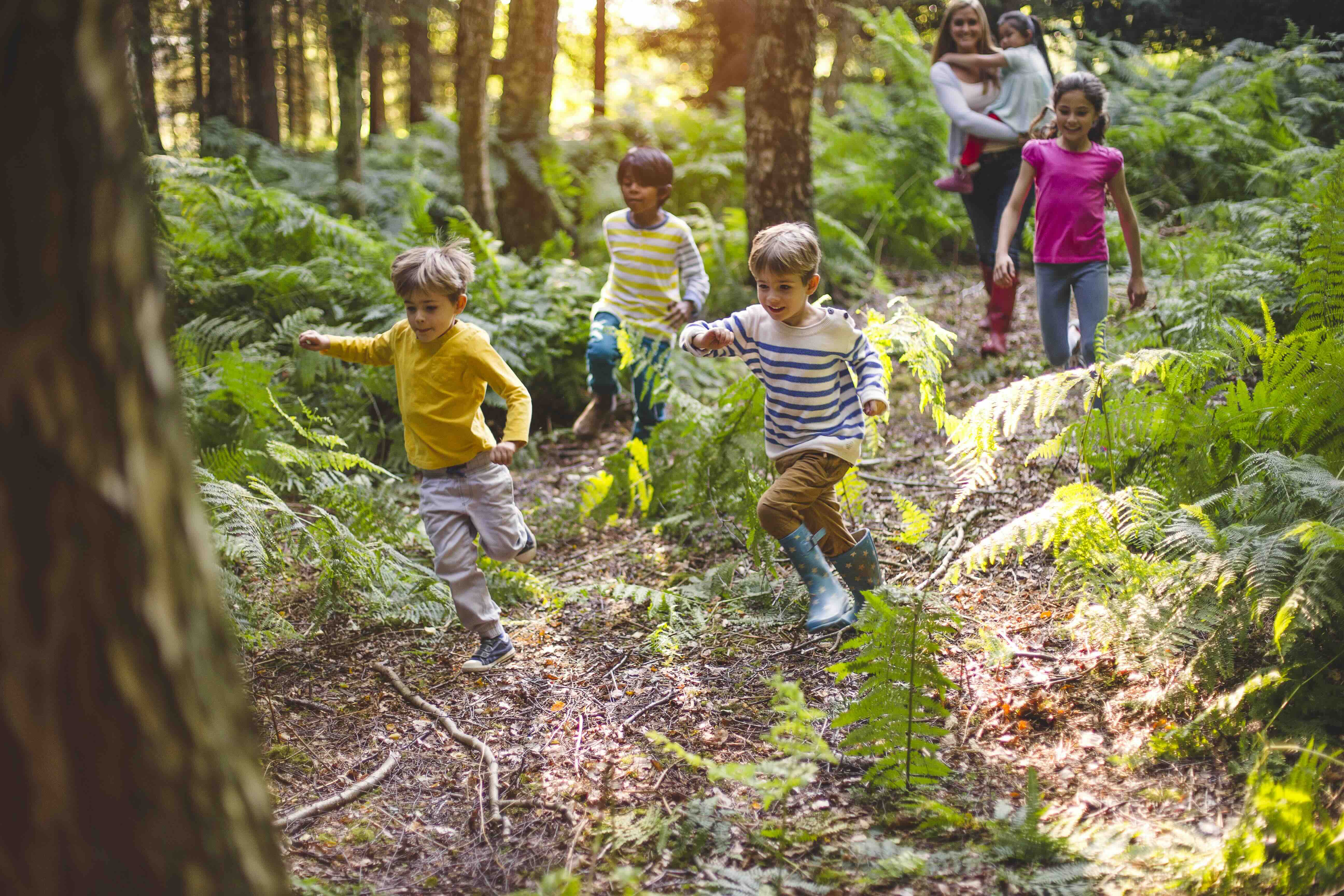 Three children running along a forest trail with two more children and an adult walking behind them among green ferns.