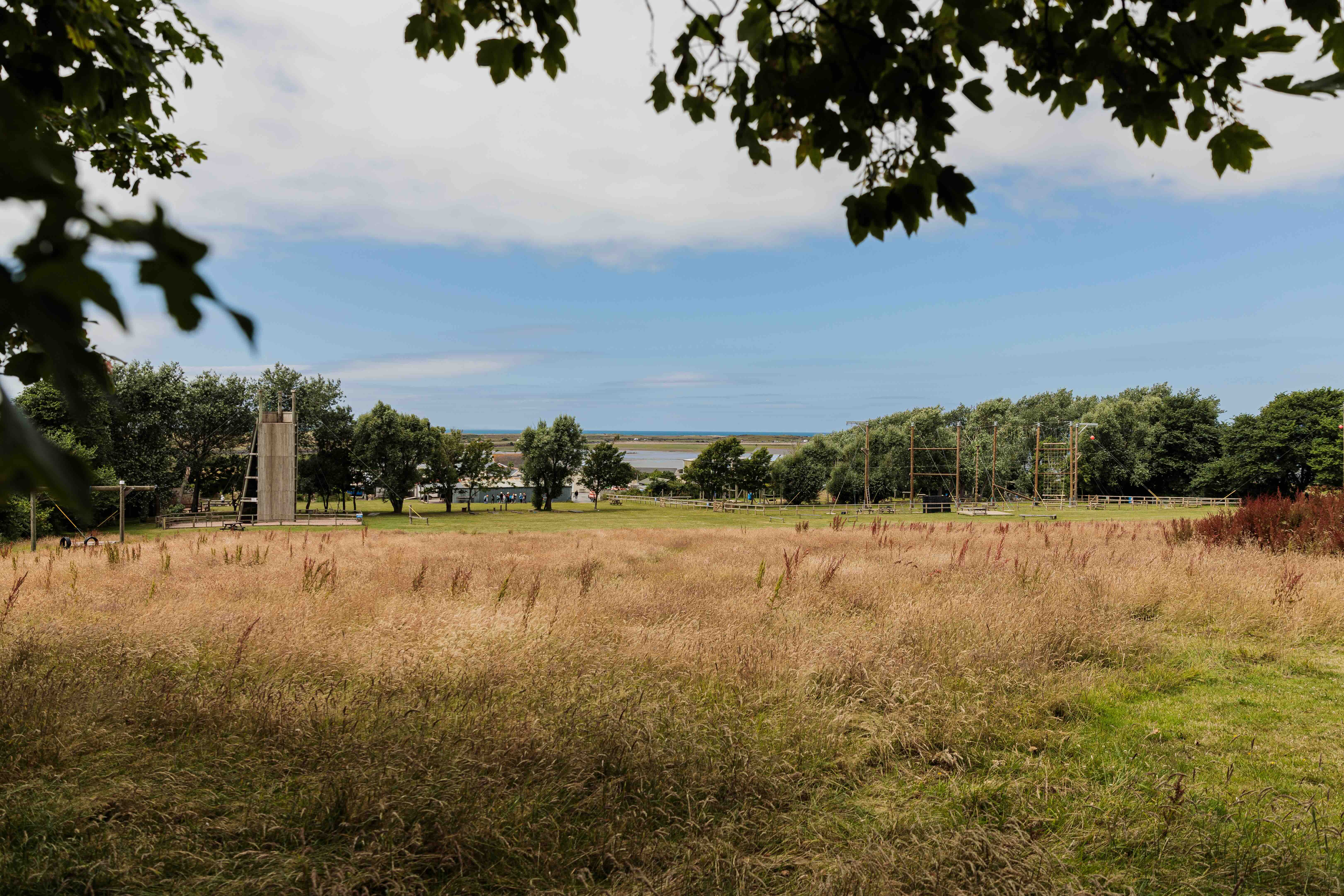Open field with tall grass and trees, featuring wooden outdoor climbing and adventure structures under a partly cloudy sky.